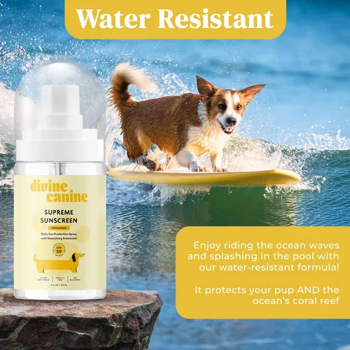 Vista 4 de Spray protector solar para perros - Protección solar SPF 30 - Kit de regalo
