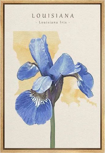 Vista 16 de Lienzo enmarcado para pared, diseño de rosa del desierto con pinchos, plantas florales suculentas, fotografía, arte moderno, primer plano