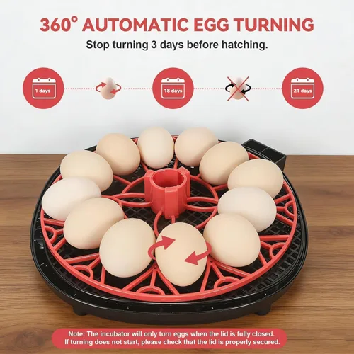 Vista 3 de Gen II - Incubadora automática de 12 huevos, humedad de dos etapas con recarga automática y control de temperatura estable, giro automático