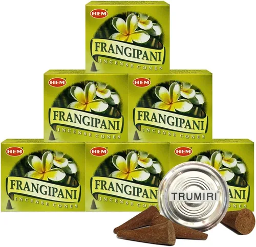Vista 25 de TRUMIRI Paquete de soporte para cono de incienso con dobladillo de aloe vera - Paquete de 6 (aproximadamente 60 conos)