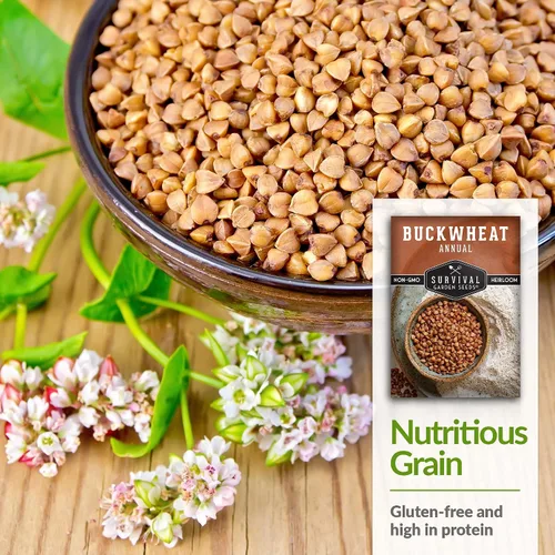 Vista 4 de Semillas de trigo sarraceno para plantar, 1 paquete Heirloom Non-GMO, Fast-Growing Cover Crop & Edible Grain, White Flowers for Pollinators