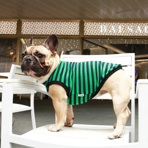 Vista 7 de iChoue - Camisetas de rayas de algodón 100% transpirable para Bulldog francés, chaleco de Halloween para perros medianos, camisetas Frenchie Pug