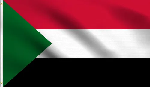 Vista 13 de DMSE - Bandera nacional beninesa beninesa de la República de África Occidental, 2 x 3 pies, 100 % poliéster, 100 % poliéster, resistente a los rayos