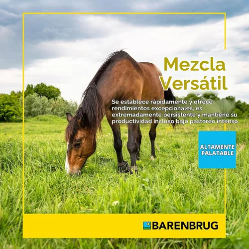Vista 3 de Barenbrug Horsemaster Premium - Mezcla de semillas de pasto (bolsa de 25 libras)
