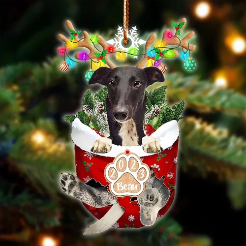 Vista 78 de NAZENTI Adorno Navideño de Bolsillo Personalizado de Affenpinscher en la Nieve, Adorno de Forma Acrílica de Perro, Adorno de Navidad 2023, Adorno