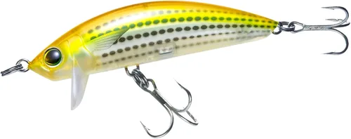 Vista 7 de Minnow de superficie costera 3D