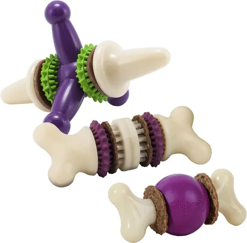 Vista 9 de PetSafe Busy Buddy Bristle Bone - Hueso de Cerdas - Juguete Duradero para Masticar para Perros con Cerdas y Protuberancias de Goma para la Salud