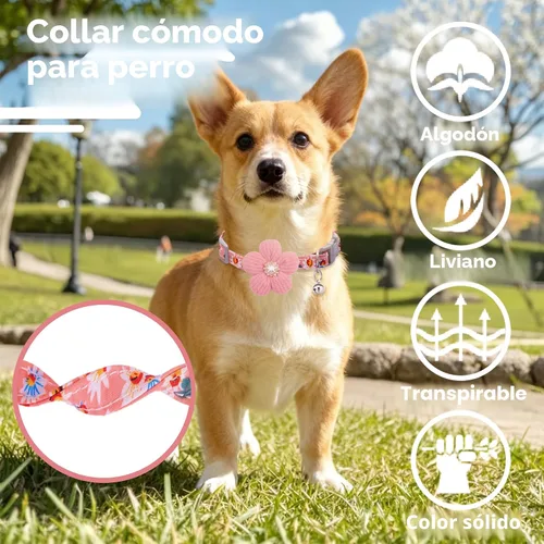 Vista 4 de Collar para perro mediano con flor, collares de perro para perros medianos Collar para niña Collar de perro lindo con campana, longitud ajustable