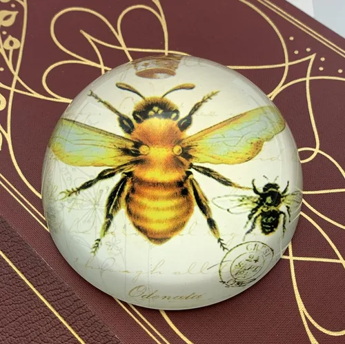 Vista 3 de Value Arts Pisapapeles de abeja imperial, cúpula de cristal, caja de regalo, 3 pulgadas de diámetro