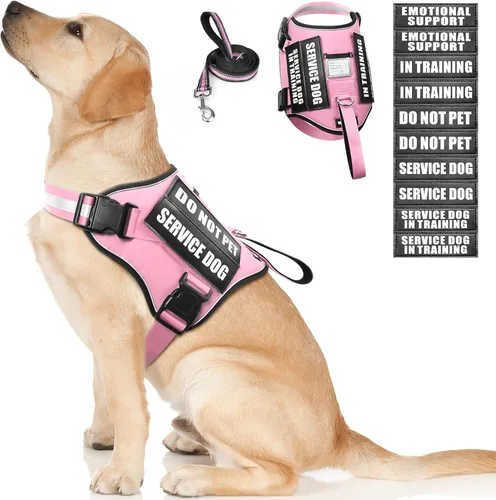 Vista 10 de Juego de arnés y correa para perro de servicio, chaleco de entrenamiento para perros con 10 parches para perros, chaleco de arnés para perros
