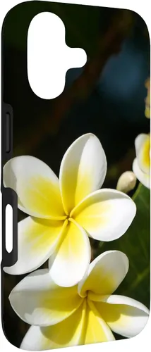 Vista 3 de Plumeria Flower Yellow Case for iPhone 17