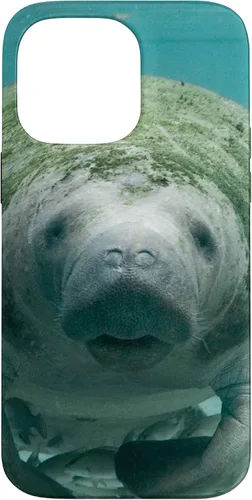 Vista 21 de Manatee Case for iPhone 17