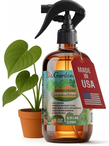 Vista 41 de GARDENERA Spray orgánico profesional de algas marinas para plantas AGLAONEMA – 8 oz – Rocío fertilizante de algas marinas y algas marinas totalmente