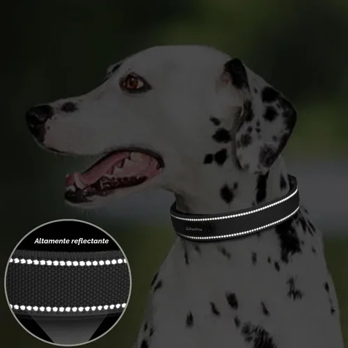 Vista 4 de PetiFine Collares para perros pequeños, collar acolchado de neopreno, collares reflectantes resistentes para mascotas con hebilla de cinturón