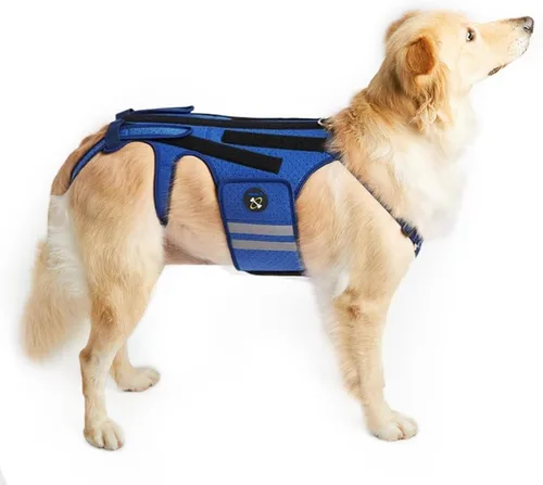 Vista 11 de Coodeo Soporte de espalda para perros para artritis, soporte de espalda para mascotas para IVDD, protector de espalda ayuda a aliviar el dolor