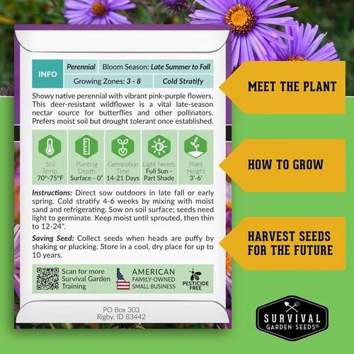 Vista 2 de Semillas de Jardín de Supervivencia - Semillas de Áster de Nueva Inglaterra para Plantar Flor Silvestre Perenne Púrpura Nativa Imán de Mariposas