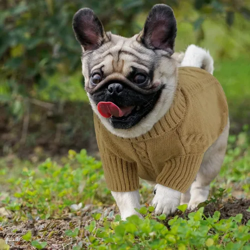 Vista 21 de Queenmore - Suéter de punto trenzado con cuello alto para perros pequeños, para climas fríos, para chihuahua, bulldog, teckel, carlino y yorkie, XS