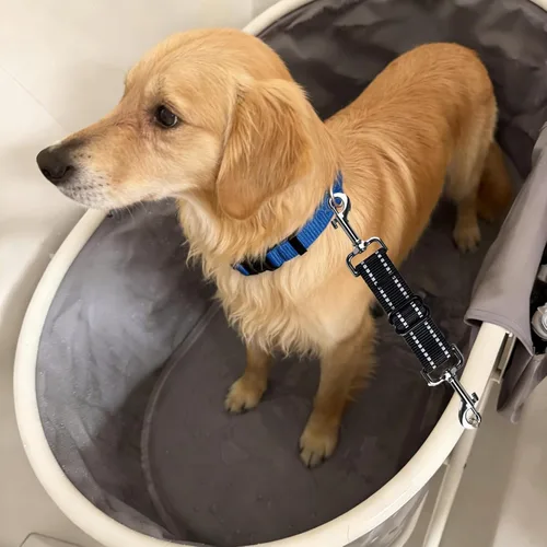 Vista 4 de Clip de seguridad para perro, clip de seguridad para collar de punta, clip de collar de perro ajustable reflectante de nailon para cachorro, arnés