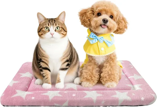 Vista 70 de Tapete para cama de perro, suave y cómodo, para jaula, cama y alfombrilla duradera para perros y gatos, ideal para jaulas, perreras y uso doméstico