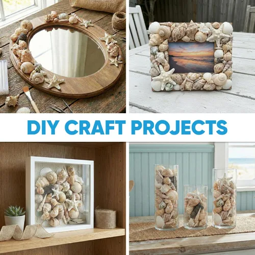 Vista 5 de Conjuntos de conchas – perfecto para manualidades, decoración del hogar de playa, bodas, relleno de jarrón y aulas. Natural shells for beach