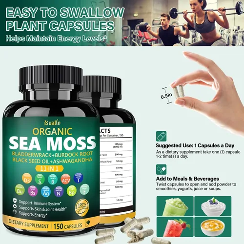 Vista 6 de Cápsulas de musgo marino irlandés Bualle – Suplementos de musgo marino orgánico, aceite de semilla negra, ashwagandha con fucus, jengibre y raíz