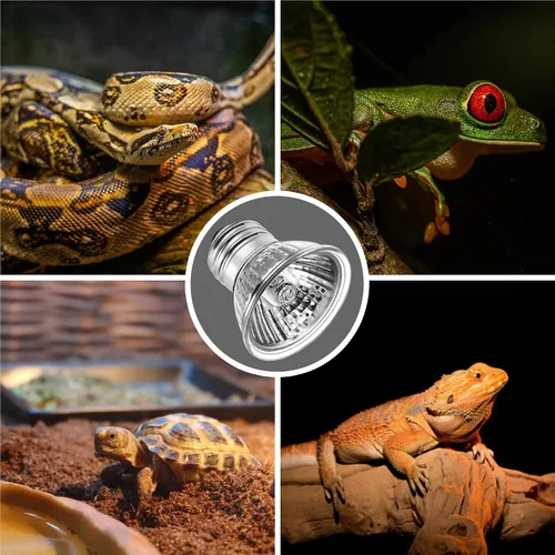 Vista 5 de Briignite - Bombilla de calor para reptiles, 50 W, UVA UVB, bombillas regulables para reptiles Bombilla cálida 50w