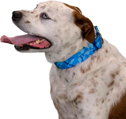 Vista 2 de Country Brook Petz - Collar para perro Martingala de camuflaje azul con 10 diseños resistentes (1 1/2 pulgadas, mediano)