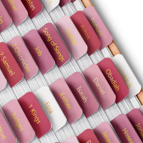 Vista 39 de Mr. Pen - Pestañas de la Biblia, 75 pestañas, tierra otoñal, letras doradas en relieve Laminated Bible Tabs for Women and Men, Bible Tabs for