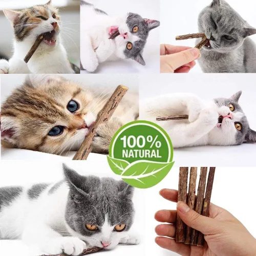 Vista 3 de WoLover 10 palitos de Matatabi, juguetes masticables Silvervine para gatos Palitos de hierba gatera natural, limpieza de dientes molar masticar