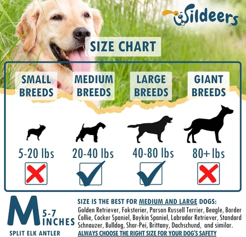 Vista 3 de Wildeers Cuernos divididos para perros medianos, paquete de 2, fabricados en Estados Unidos, cuernos de alce de grado A, huesos masticables