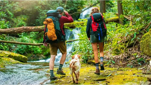 Vista 3 de FITS Heavy Expedition Boot Durable, Cushioned Outdoor Socks for Hiking, Camping, Hunting, and Fishing