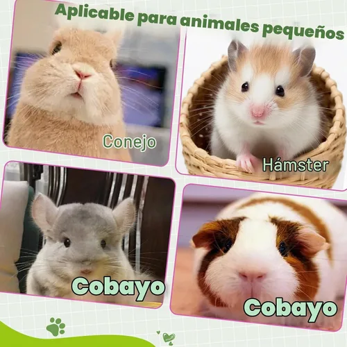Vista 6 de Golosinas digestivas de conejo: cápsulas de hierbas de alta fibra con probióticos, apoya la salud intestinal y la digestión regular, para conejos