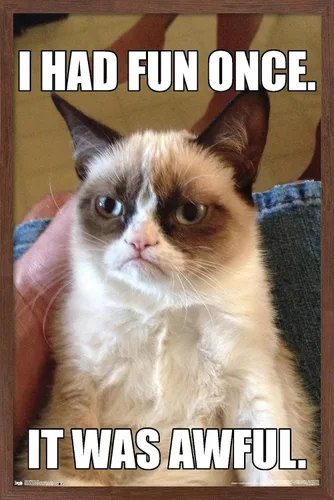 Vista 17 de Trends International Grumpy Cat - Póster de pared divertido, 22.375 x 34 pulgadas, versión enmarcada plateada Versión con marco plateado