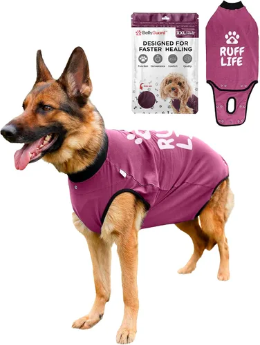 Vista 10 de Traje de Recuperación Quirúrgica BellyGuard para Perros, Mameluco para Perros para Cuidado Post-Operatorio, Ropa de Recuperación para Perros Hembra