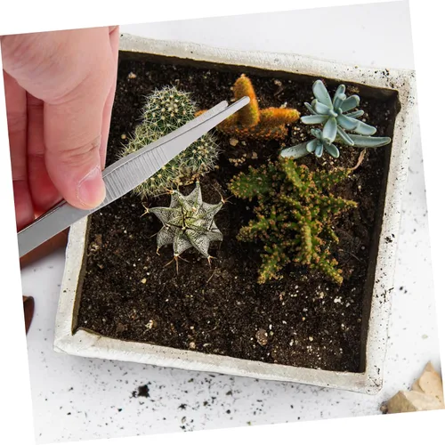 Vista 3 de 4 pinzas de acero inoxidable para jardinería suculenta, puntas curvas y rectas para proyectos de cuidado de plantas de precisión y herramientas