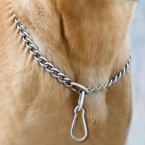 Vista 7 de YuCool Paquete de 2 collares de cadena para perros, collares de estrangulamiento de metal resistente, collar de entrenamiento de mascotas de acero