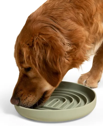 Vista 25 de Should We Go? Alimentador lento para perros y gatos, el tazón Slowdown de silicona, solución para comer lentamente con diseño moderno de alfombrilla