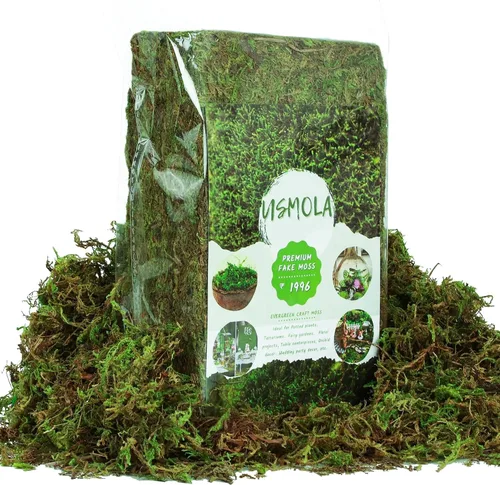 Vista 2 de USMOLA Musgo artificial para plantas de interior, musgo falso de 16 onzas para manualidades, centros de mesa decorativos, jardín de hadas