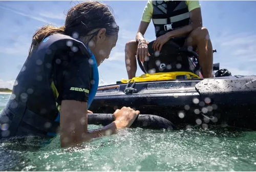 Vista 4 de Sea-Doo nuevo OEM, escalera de embarque retráctil con resorte, 295100747 295100869