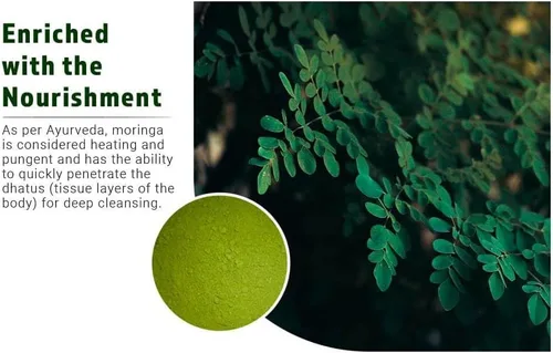 Vista 8 de Cápsulas de polvo de hoja de Moringa (tabletas) - 300 píldoras, 150 porciones, 1000 mg (1 paquete)