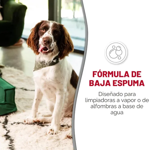 Vista 3 de Champú para alfombras Nature’s Miracle, quitamanchas y olores para mascotas de limpieza profunda, 64 onzas