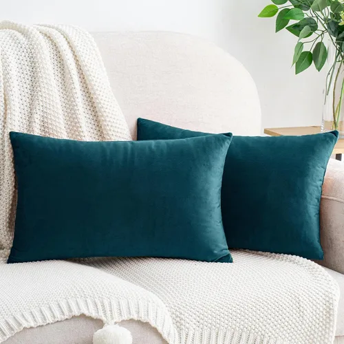 Vista 55 de HWY 50 fundas de almohada decorativas de terciopelo sólido para sofá, sala de estar., Terciopelo, gris, 20x20 pulgadas