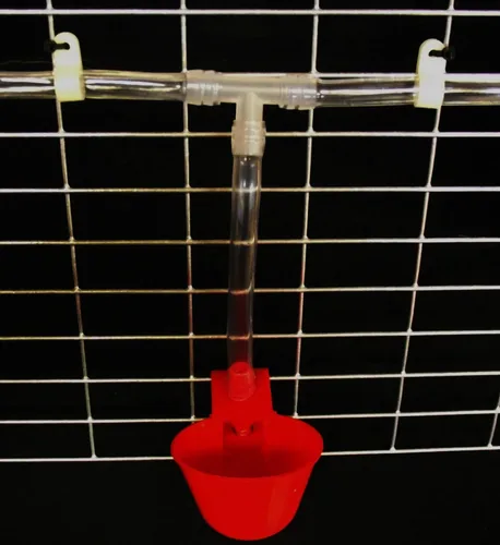 Vista 4 de (6) Vasos de bebedero automático y accesorios de púas pollo aves de corral