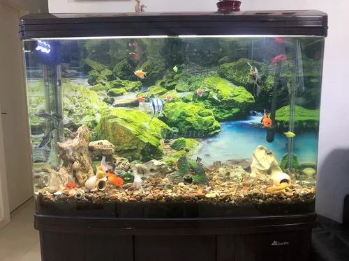Vista 4 de Póster de fondo de acuario de piedra de musgo verde con fondo de acuario, decoración de fondo de pecera (24 x 12 pulgadas/24.0 x 11.8 in)