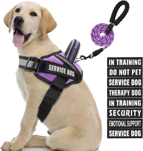 Vista 24 de Juego de Chaleco y Correa para Perro de Servicio, Arnés de Entrenamiento Animire para Perro con 10 Parches para Perros, Correa Reflectante