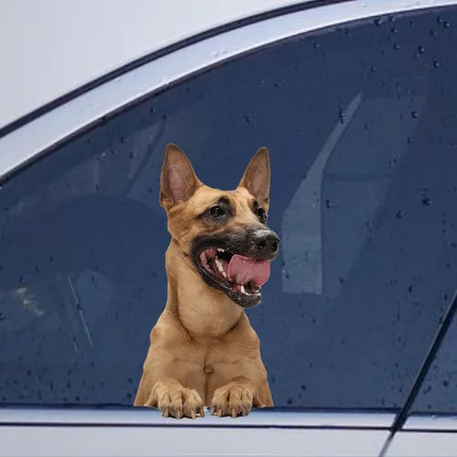 Vista 14 de Calcomanías de perro caniche, divertidas calcomanías de vinilo troqueladas para automóvil, laptop, parachoques Estilo-37