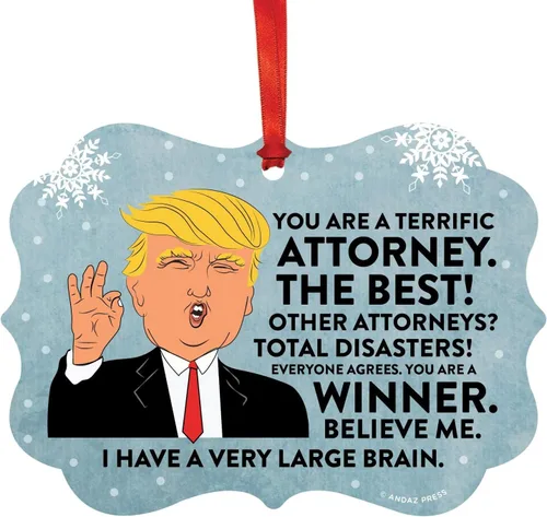 Vista 117 de Andaz Press Presidente Donald Trump Fancy Frame Recuerdo Adorno de Navidad Regalo de broma, excelente contador, 1 paquete, divertidas ideas
