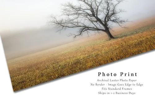 Vista 2 de Impresión de fotografía de naturaleza (no enmarcada), imagen de árbol envuelto en la niebla en la mañana de otoño en grandes montañas ahumadas