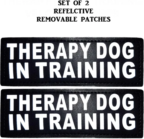 Vista 4 de Arnés de malla para perros de terapia Cool Comfort Nylon Compra viene con 2 terapias reflectantes para perros en parches de entrenamiento. Mide a tu