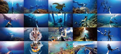 Vista 8 de #270Pro Mochila Palo selfie invisible ultra largo de 8.8 pies, 99% fibra de carbono, ligero y portátil, funciona con GoPro, Insta360, DJI
